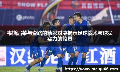 球速体育