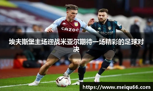 球速体育平台